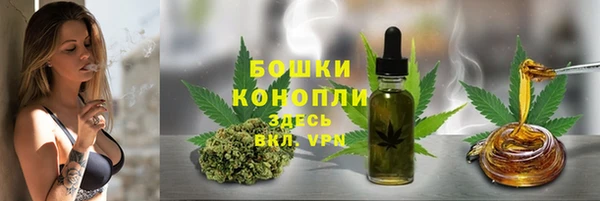 эйфоретик Бородино