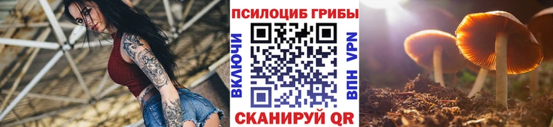 Псилоцибиновые грибы MAGIC MUSHROOMS  MEGA онион  Армавир 